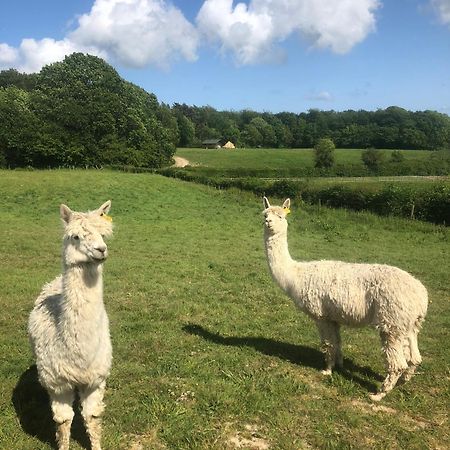 Swallows Oast Glamping Sedlescombe Exterior photo